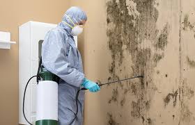 Best Comprehensive Air Testing for Mold Contaminants in Bayview, CA